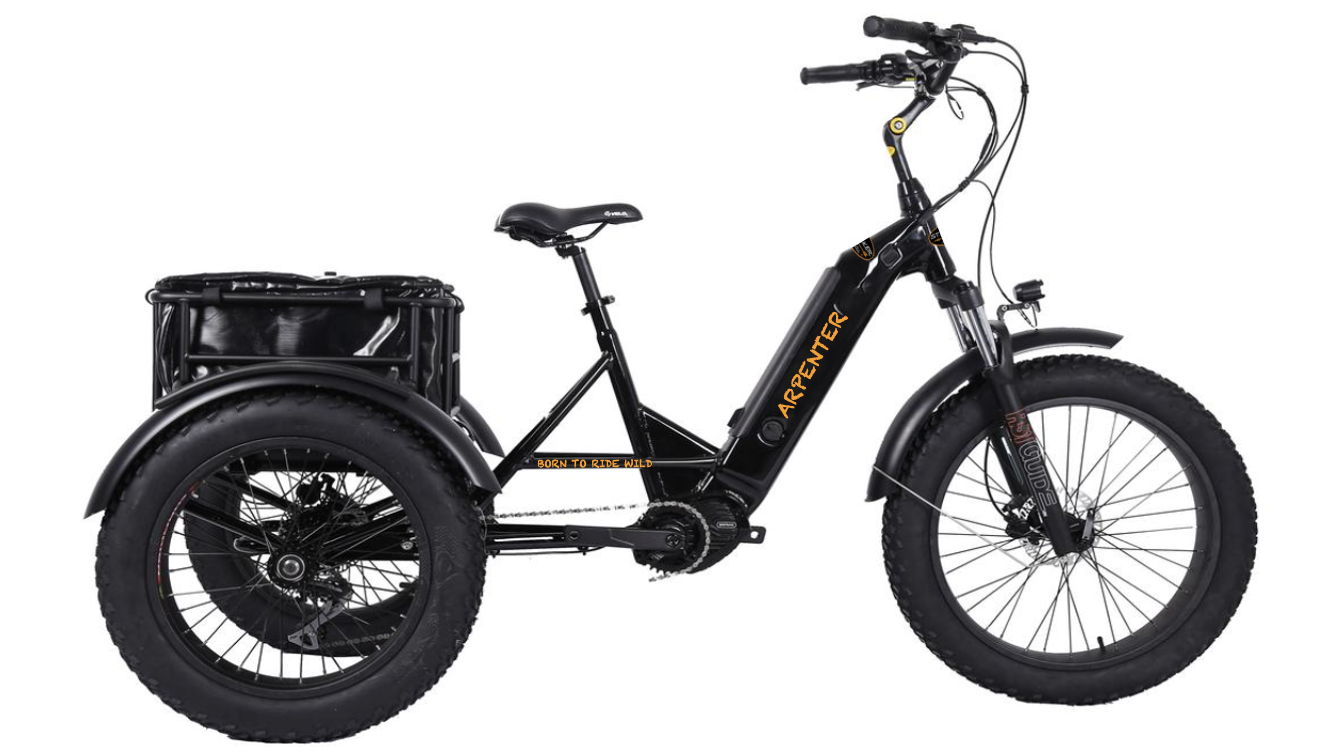 STALKER Mad Bike® ARPENTER - Mid Drive Electric Tricycle Trike - 750W 48V 17.4Ah 160Nm Torque